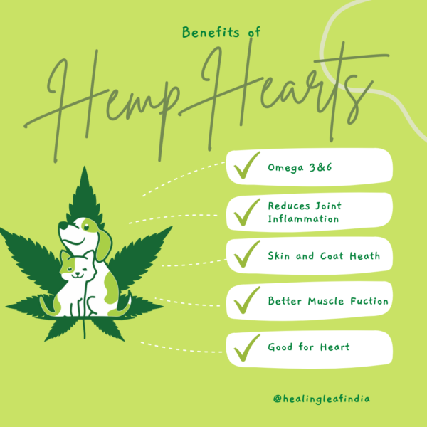 Healing Leaf Hemp Protein Powder Benefits