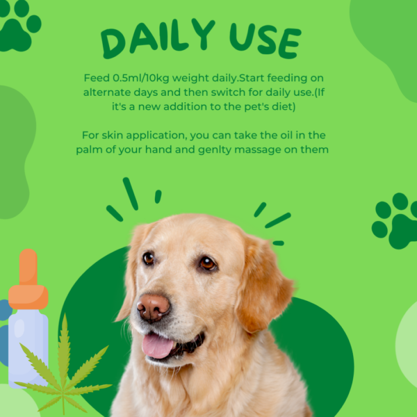 Healing Leaf Hemp Oil Daily Use